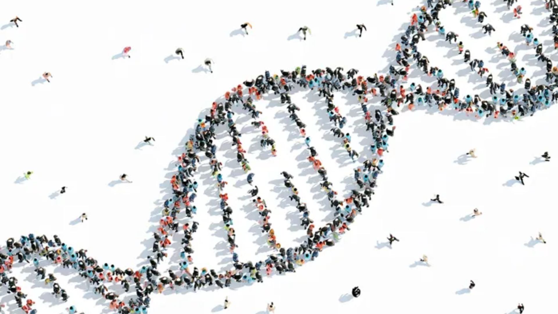 La Fondazione HEAL ITALIA avvia la selezione di esperti per la Long List nazionale e internazionale sulla Medicina di Precisione